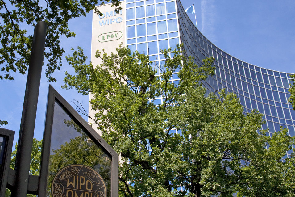 US Fails to Block Progress over Genetic Resources Text at WIPO-IGC 36