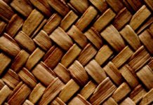 Prof. Osei-Tutu speaks at the University of Ottawa