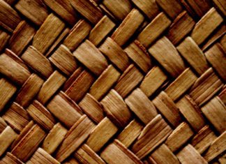 Prof. Osei-Tutu speaks at the University of Ottawa