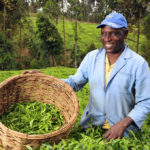 farmer-in-kenya-by-ciat