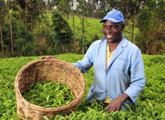 Ownership of Open Data (GODAN Summit 2016)