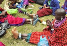 Gender, IP, and Innovation: Open AIR’s Future Research