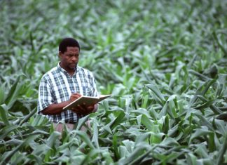 Open Data’s Effect on Food Security