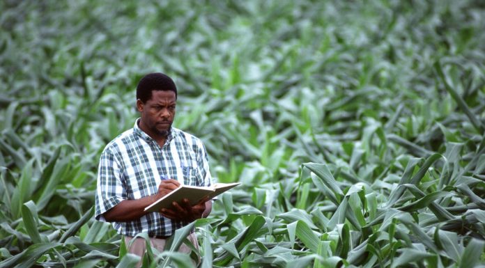 DIY Biology in Africa: Opportunities and Challenges for Open Science