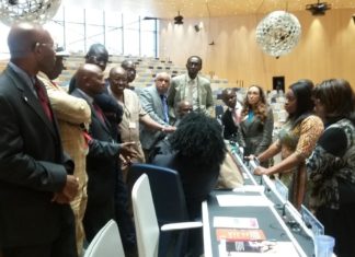 WIPO Special Committee on Genetic Resources, Traditional Knowledge, and Traditional Cultural Expression Shies Away from Consolidating its Mandate but Agrees on Lack of Indigenous Participation