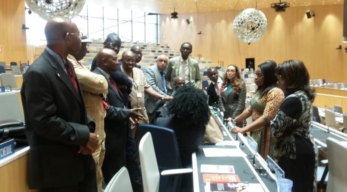 WIPO Special Committee on Genetic Resources, Traditional Knowledge, and Traditional Cultural Expression Shies Away from Consolidating its Mandate but Agrees on Lack of Indigenous Participation