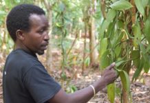 How DIY Biology can Improve Access to Digital Agricultural Technologies