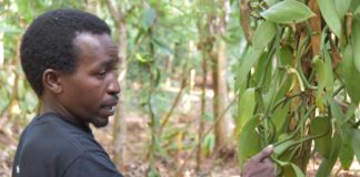 How DIY Biology can Improve Access to Digital Agricultural Technologies
