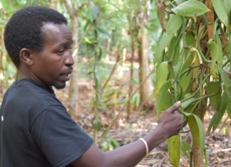 How DIY Biology can Improve Access to Digital Agricultural Technologies