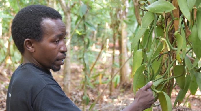 How DIY Biology can Improve Access to Digital Agricultural Technologies