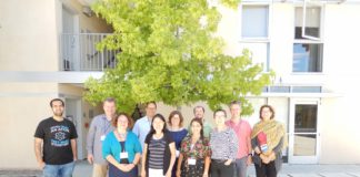 The Many Faces of Scholarly Communications