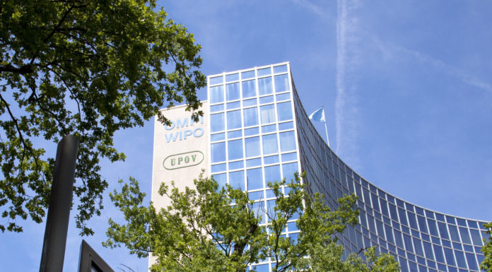 US Fails to Block Progress over Genetic Resources Text at WIPO-IGC 36