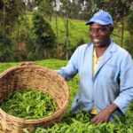 Farmer-in-Kenya-by-CIAT