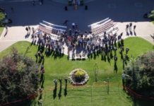 How Designing Crops for Global Food Security and Open AIR are Working Together