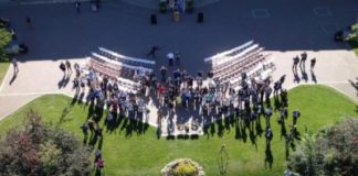 How Designing Crops for Global Food Security and Open AIR are Working Together