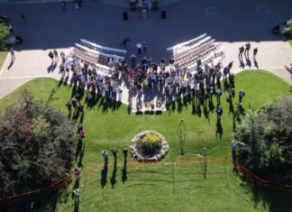 How Designing Crops for Global Food Security and Open AIR are Working Together