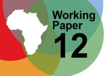 Determinants of Innovation Capability in Informal Settings: The Case of Nigeria’s Clustered ICT Microenterprises