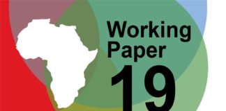 The Nollywood Phenomenon: Innovation, Openness and Technical Opportunism in the Modeling of Successful African Entrepreneurship