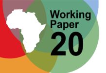 Complexities of Social Innovation and Social Entrepreneurship by Two Indigenous Organisations in Rural South Africa