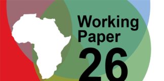 Innovation and Scaling by Tech Hubs and Their Hosted Startups: Three South African Cases