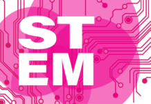 Bridging the Gender Gap between contributions to STEM Fields and their participation in Canadian IP Regimes: A Research Analysis