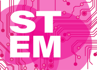 Bridging the Gender Gap between contributions to STEM Fields and their participation in Canadian IP Regimes: A Research Analysis