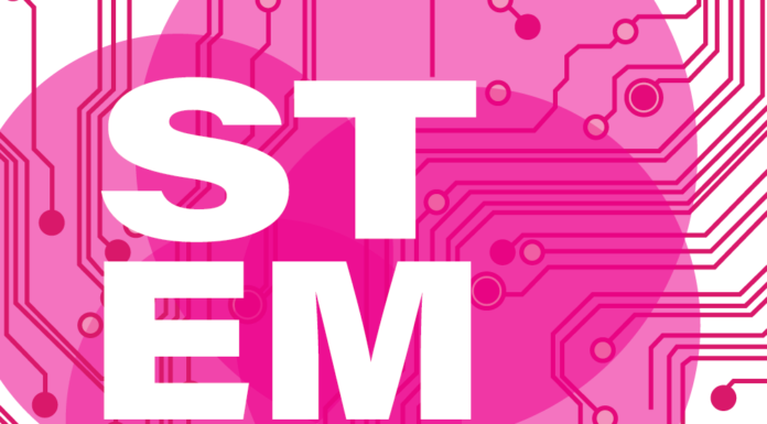 Bridging the Gender Gap between contributions to STEM Fields and their participation in Canadian IP Regimes: A Research Analysis