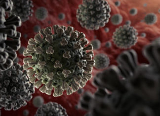 COVID-19: My Experience, My Reflections