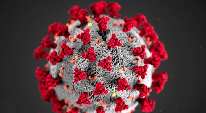 COVID-19 and Vaccine Nationalism: Africa’s Pathway to Access