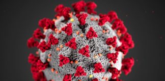 COVID-19: In the Shadow of Ebola, the Patent War to Come and a Forgotten Africa