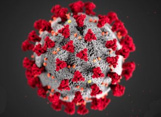 COVID-19: In the Shadow of Ebola, the Patent War to Come and a Forgotten Africa