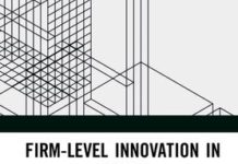 Firm-Level Innovation in Africa: Overcoming Limits and Constraints