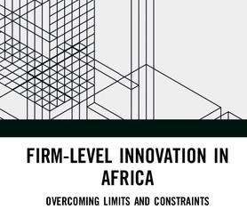 Firm-Level Innovation in Africa: Overcoming Limits and Constraints