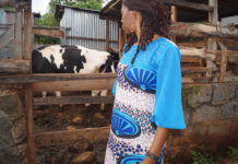 A Day Out in Wanyori Community