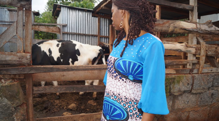 A Day Out in Wanyori Community