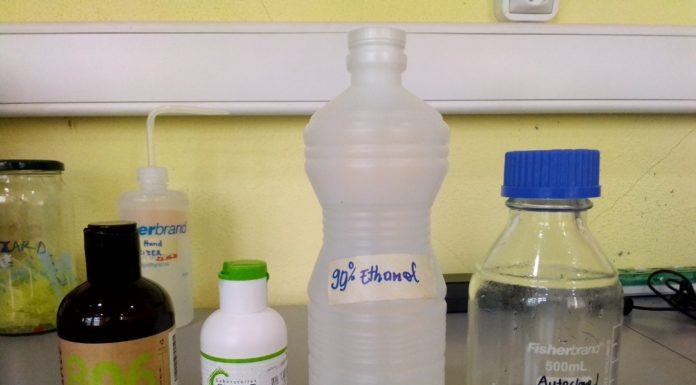 Community Biology Lab’s Response to COVID-19 in Africa: The Case of the Mboalab in Cameroon