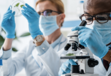 Expedited COVID-19 R&D: Indigenous Knowledge and ABS Imperative