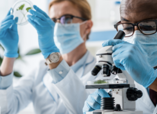 Expedited COVID-19 R&D: Indigenous Knowledge and ABS Imperative