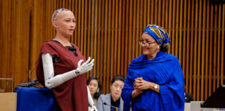 AI and Gender in Africa