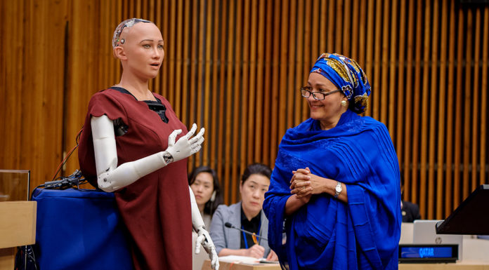 AI and Gender in Africa