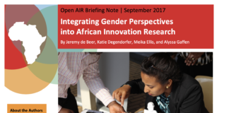 Integrating Gender Perspectives into African Innovation Research