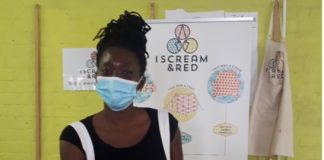 A Reflection on the Gendered Perspectives of the Innovation Paradigm in South Africa’s Makerspaces