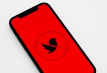 Lords of the Platforms: Beyond Banning Twitter, What else Should Nigeria do?