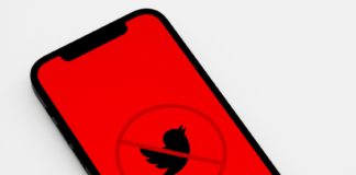 Lords of the Platforms: Beyond Banning Twitter, What else Should Nigeria do?