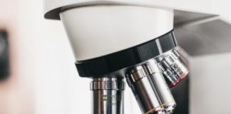 Access to COVID-19 Vaccines: the Patent Freeze Proposal and a New Global Strategy