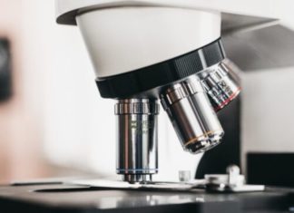 Access to COVID-19 Vaccines: the Patent Freeze Proposal and a New Global Strategy