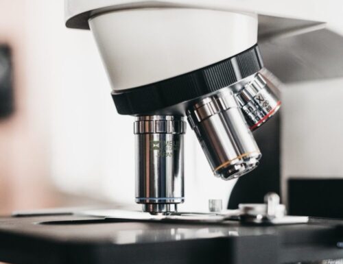 Access to COVID-19 Vaccines: the Patent Freeze Proposal and a New Global Strategy