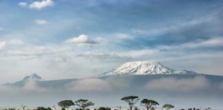 Harnessing AI and Big Data for Development in Africa: The Prospects and Challenges of the IP System