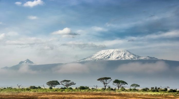 Harnessing AI and Big Data for Development in Africa: The Prospects and Challenges of the IP System