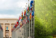 WIPO-IGC 43: Logjam Over Two Genetic Resources Texts